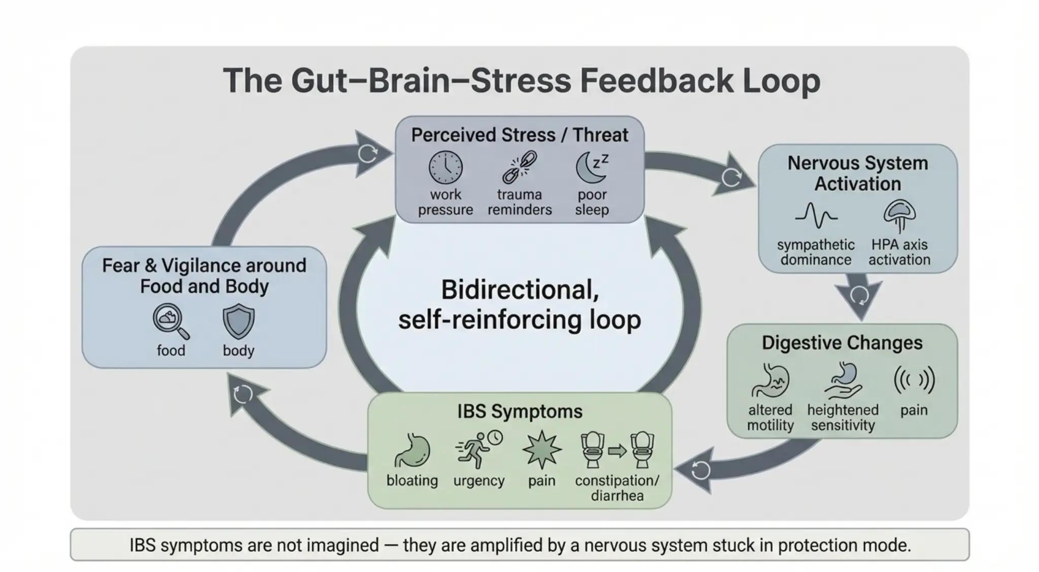 Diagram showing the bidirectional gut–brain–stress feedback loop in IBS and how stress, symptoms, fear, and digestive sensitivity reinforce each other